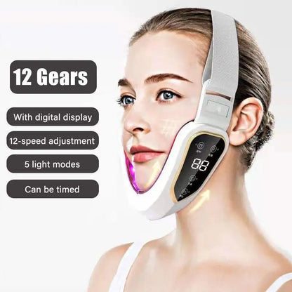 LED Photon Therapy Facial Slimming Vibration Massager